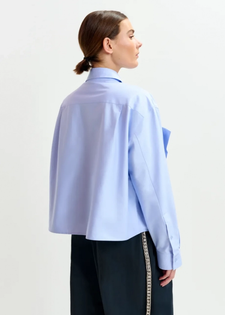1 Pale Kingsblue