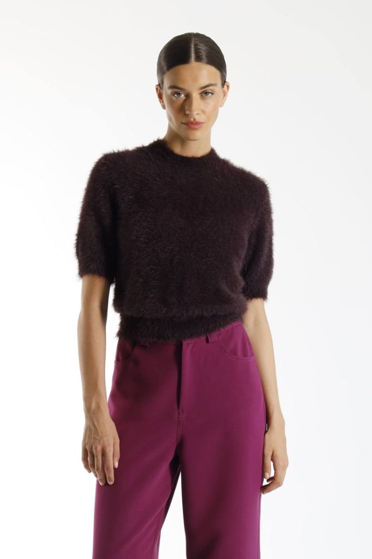  495 Plum